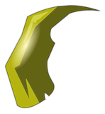Ongle Désincarné de Qu'Tan