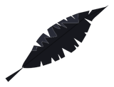 Plume du Maître Corbac