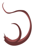 Poil d'aisselle de Pumbaa