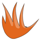 Poils de Soryo Firefoux