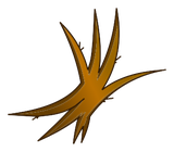 Poil de Bworkette