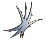 Poil de Dragon Cochon