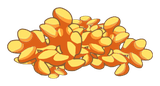 Graine de Sésame