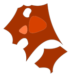 Peau de Tanukouï San