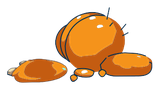 Peau de Larve Orange