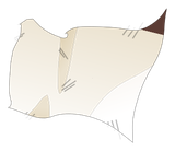 Peau de Rat Blanc