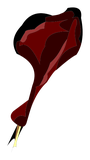 Cuisse de Boufton
