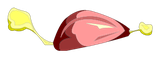 Viande d Oiseau ****