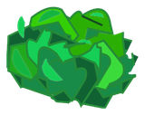 Feuille de Salace