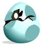 Oeuf de Bwak d'eau