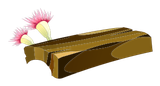 Planche en Bois de Kaliptus