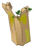 Ecorce d'Abraknyde Ancestral