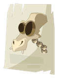 Dragodinde Squelette