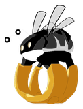 Scaranneau Noir