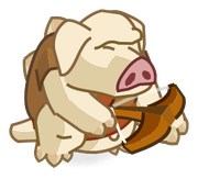 Cochon de Lait