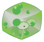 Gelée Menthe