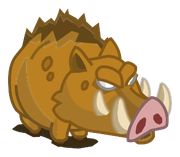 Sanglier agressif