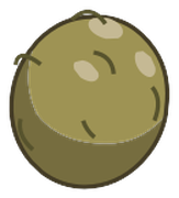 NodKoko