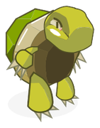 Tortue Verte