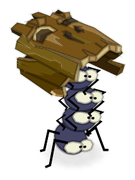 Araknotron