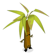 Bambou Ensorcel