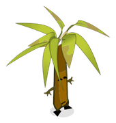 Bambou Sombre Ensorcel