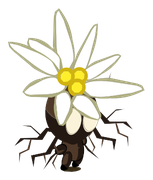 Bulbedelweiss