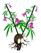 Bulbichanvre