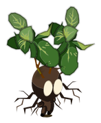 Bulbimenthe