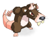 Rat Klure