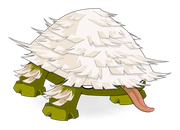 Champodonte