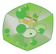 Gelée Royale Menthe